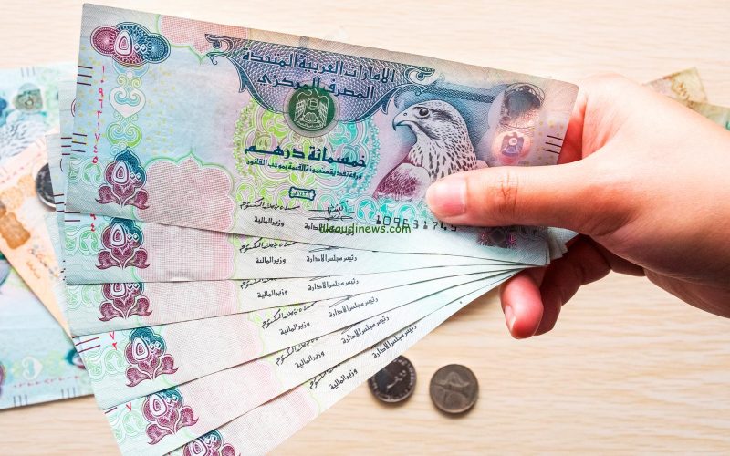 سعر الدرهم الإماراتي مقابل الجنيه المصري اليوم الأربعاء 22 يناير 2025- المحرر العربي