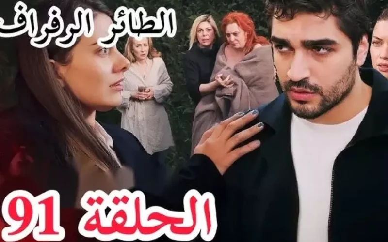 ”بجودة HD” مسلسل الطائر الرفراف الحلقة 91 Yalı Çapkını قصة عشق.. لا تفوتها