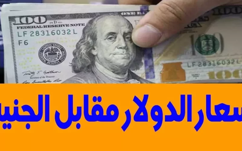 خسارة للتجار.. سعر الدولار مقابل الجنيه المصري في السوق السوداء الثلاثاء 21 يناير 2025 وفي البنوك