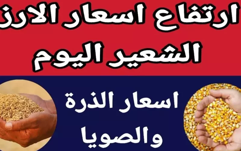 “أستقرار نسبي” سعر طن الأرز الشعير اليوم الثلاثاء 21-1-2025 للمستهلك في مصر وأسعار السلع الغذائية